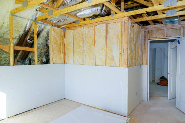 Best Eco-Friendly Insulation in Carrboro, NC