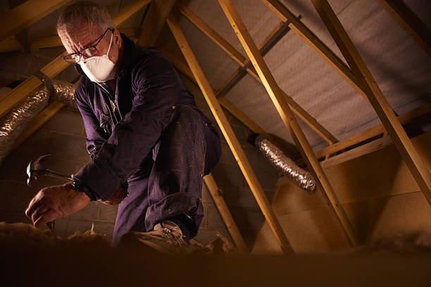 Best Specialized Insulation Services in Carrboro, NC